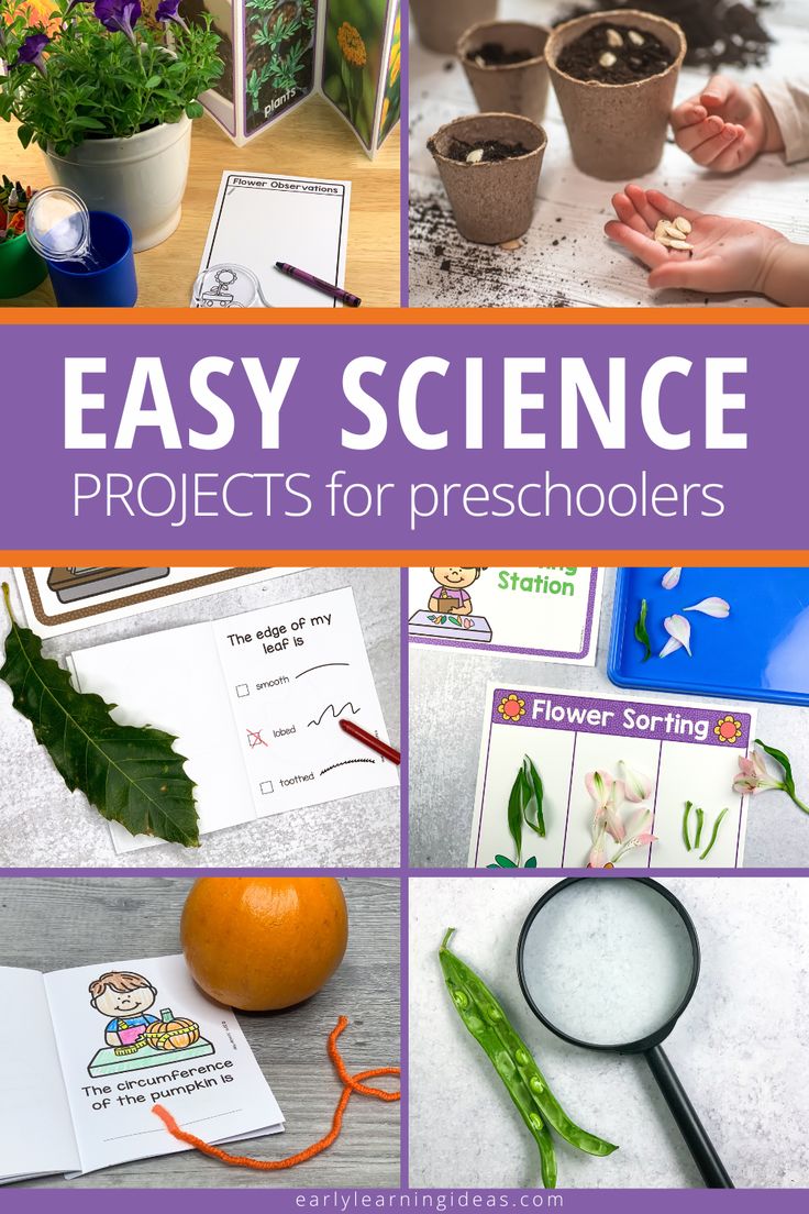 the cover of an easy science project for preschoolers with pictures of plants and flowers