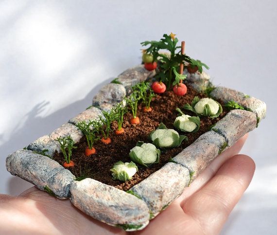 a miniature garden in someone's hand