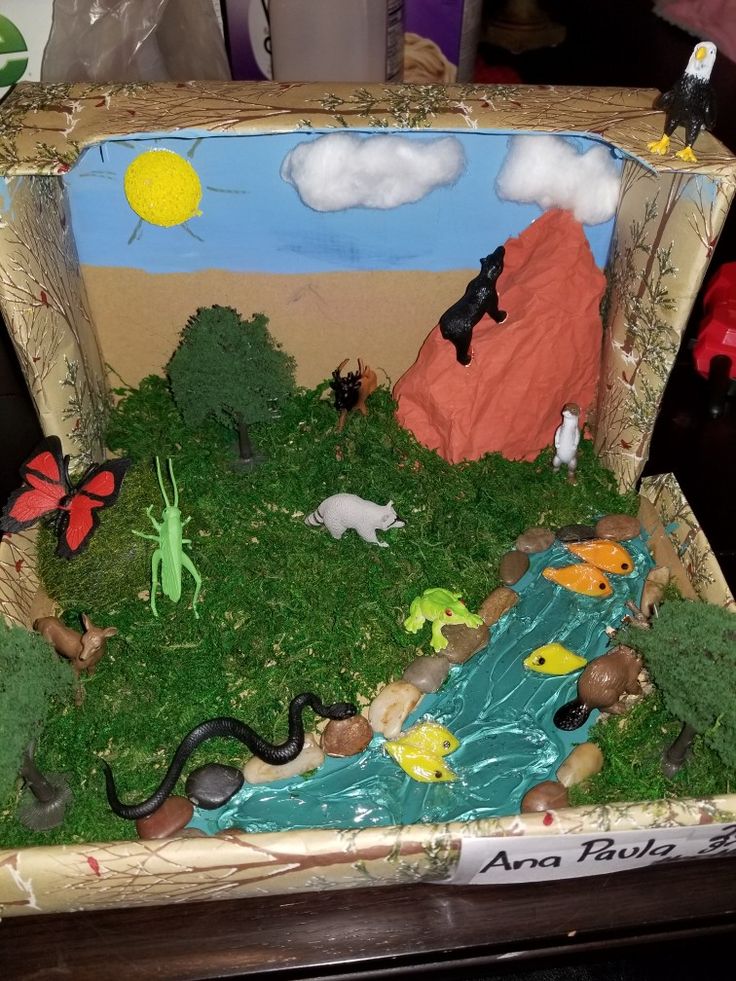 an open cardboard box with animals and plants in it