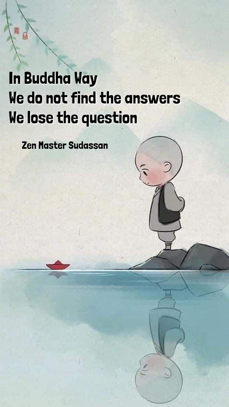 an image of a cartoon character looking at something in the water with a caption that reads, in buddha way we do not find the answers we lose the question