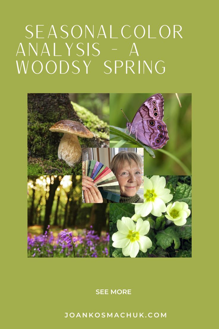 A Woodsy Spring in the Suzanne Caygill Tradition of Seasonal Color Analysis Style Analysis, Nature Collage, Seasonal Color Analysis, Color Harmony, Color Analysis, Shape Of You, Fashion Consultant, Season Colors, Seasonal Fashion