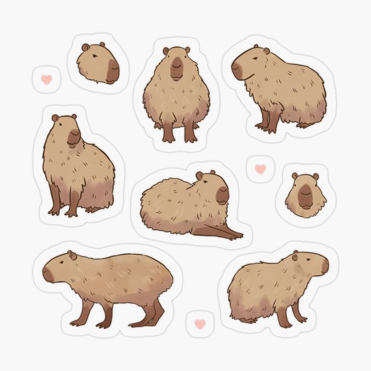 the stickers have beavers on them in different shapes and sizes, including one that is brown