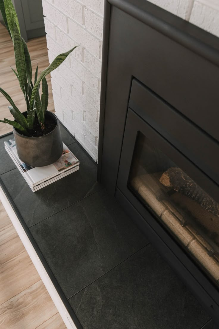 a potted plant sitting on top of a black table next to a fire place