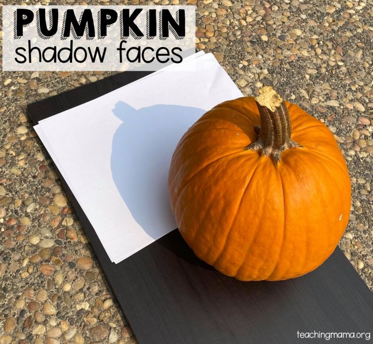 a pumpkin sitting on top of a piece of paper