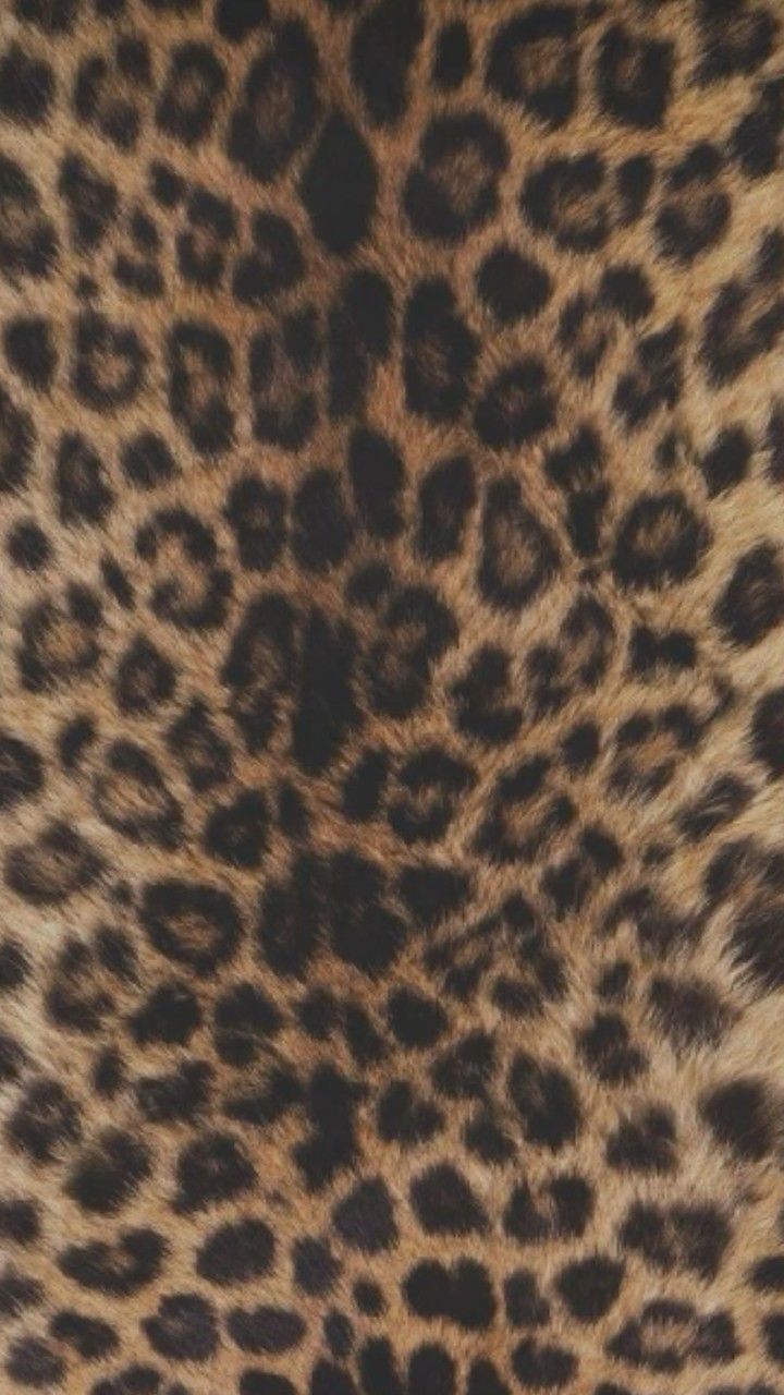 an animal print pattern is seen in this image