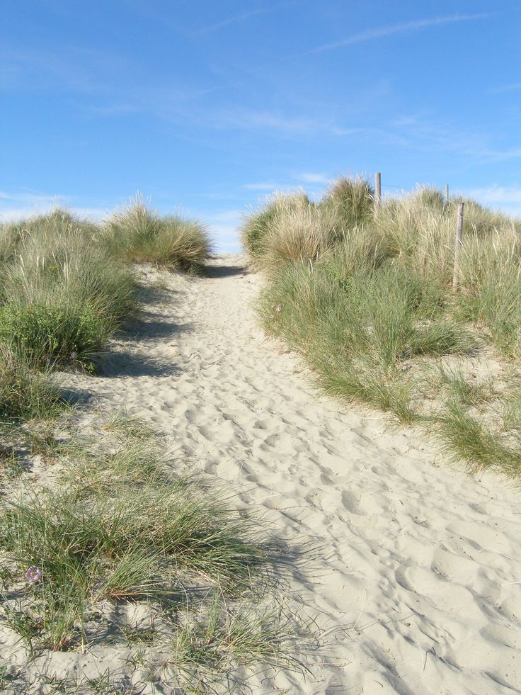 the path to the beach is lined with sand and grass, leading into the distance