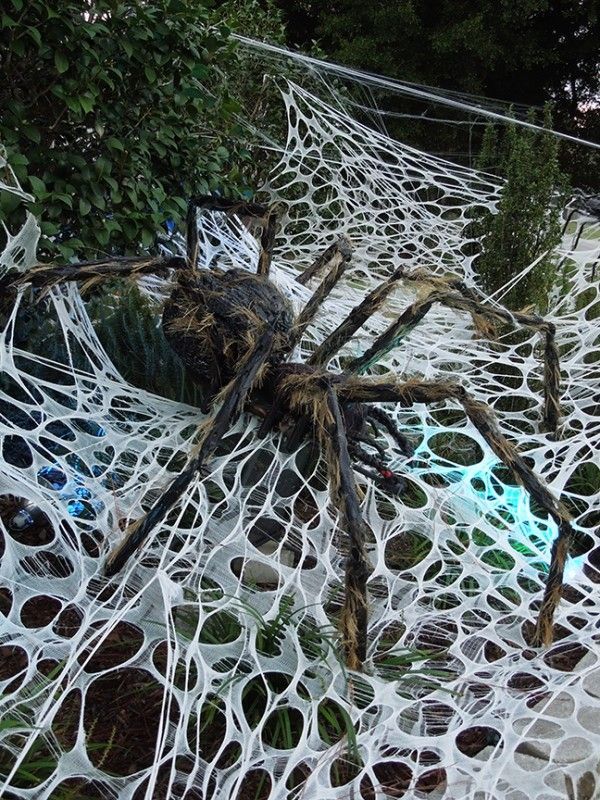 a large spider sitting on top of a net covered in rocks and grass next to trees