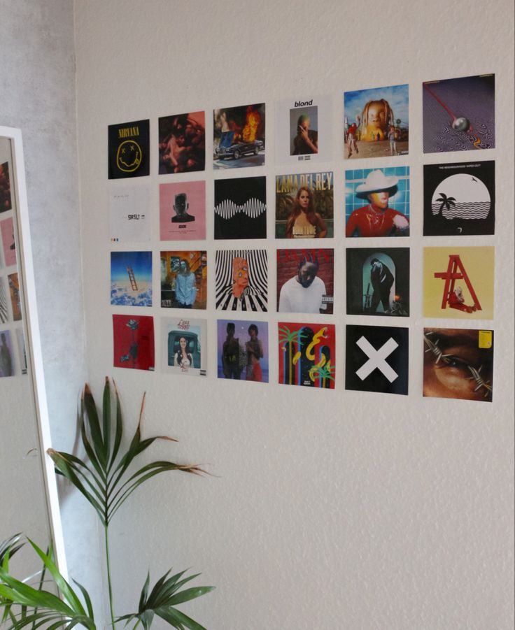 a white wall with many pictures on it and a potted plant next to it