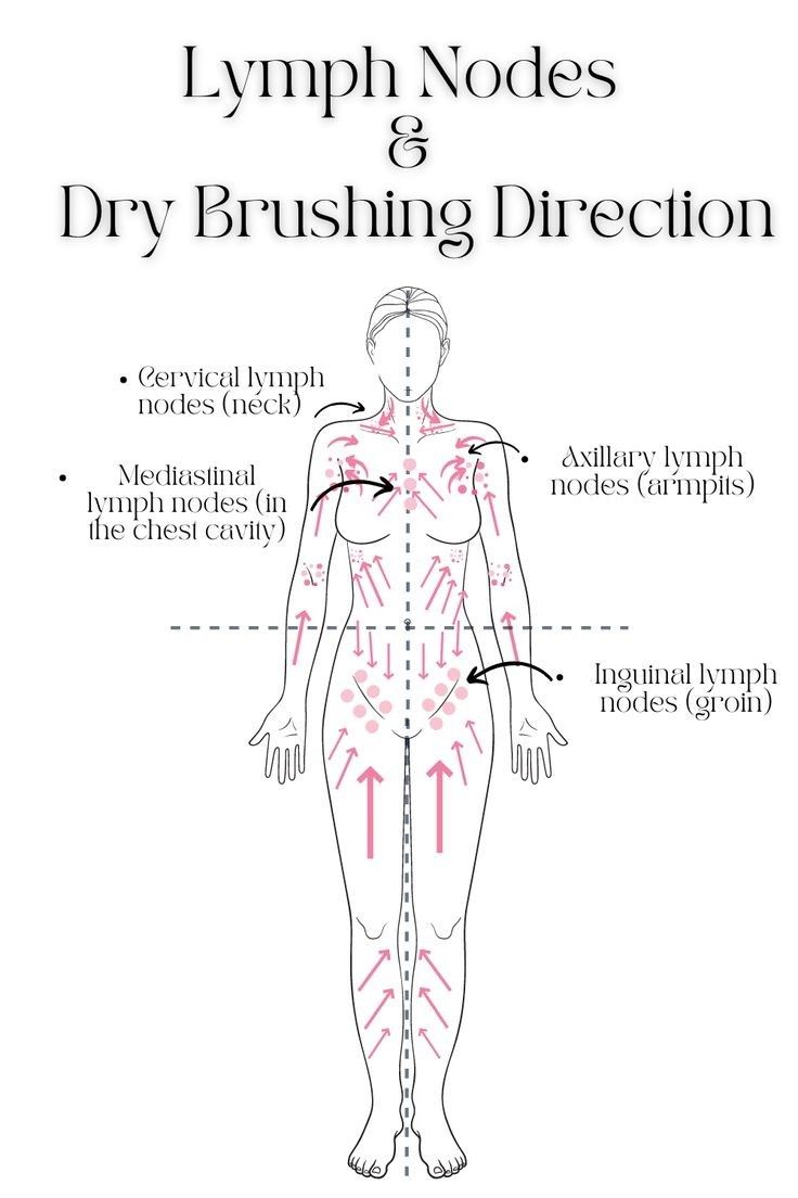 How To Dry Brush, Lymph Drainage Massage, دورة شهرية, Drainage Massage, Lymph Massage, Lymph Drainage, Feminine Health, Lymph Nodes, روتين العناية بالبشرة