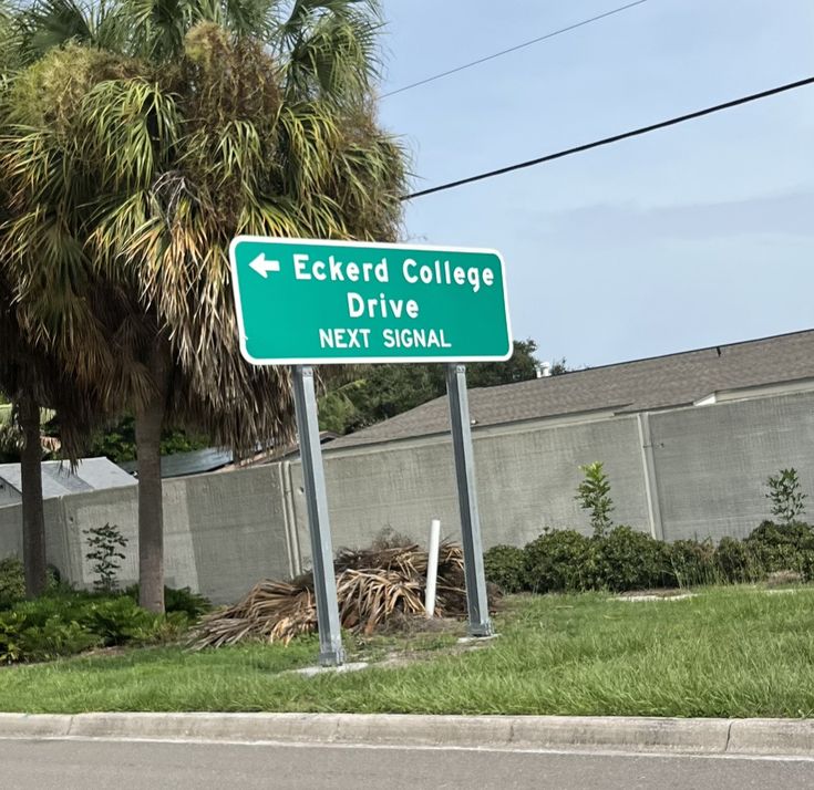 a green street sign sitting on the side of a road next to a palm tree