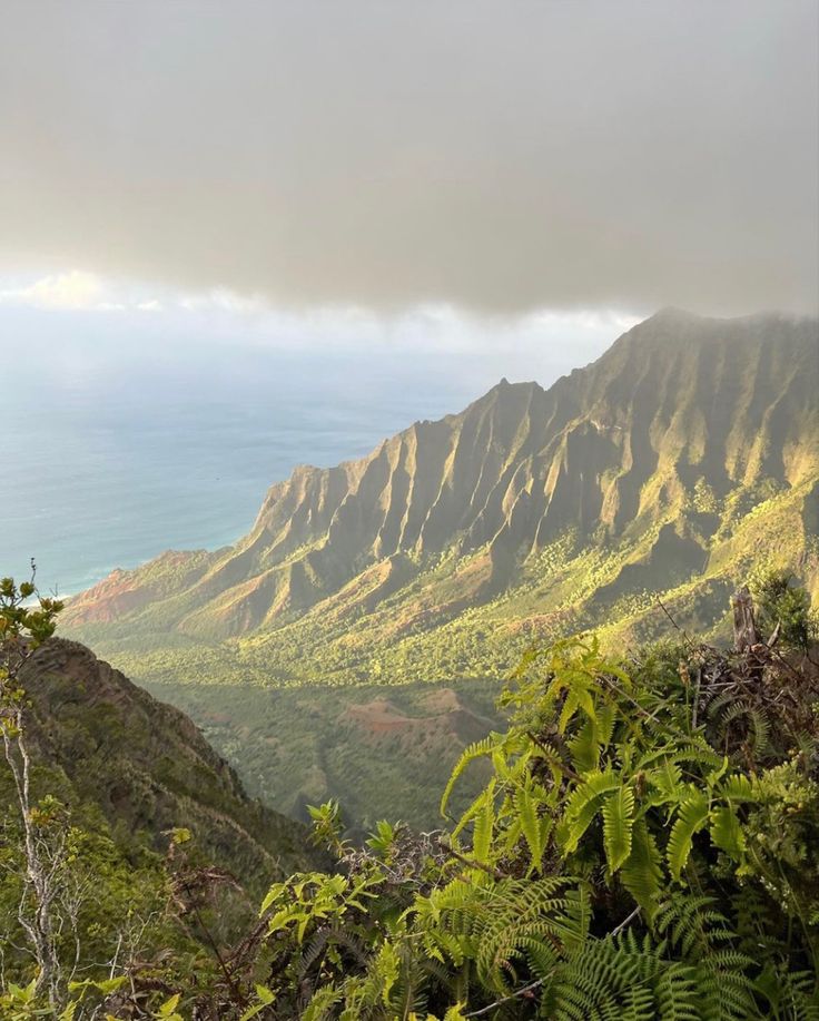 the mountains are covered in vegetation and clouds