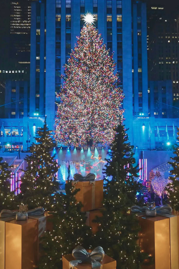 a large christmas tree is lit up in the city