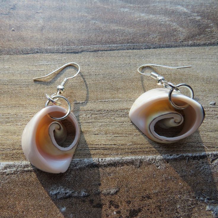 Nwot, Cute Little Sea Shell Earrings. Statement Earrings. Elegant Nickel-free Beach Earrings, Elegant Nickel-free Earrings For The Beach, Elegant Spiral Beach Jewelry, Nickel-free White Drop Earrings, Nickel Free White Drop Earrings, Elegant White Hoop Earrings For Beach, Nickel Free Adjustable Shell-shaped Earrings, Nickel-free Adjustable Shell-shaped Earrings, Unique White Dangle Pearl Earrings