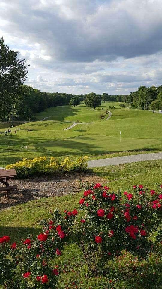 a bench sitting in the middle of a lush green field next to a golf course