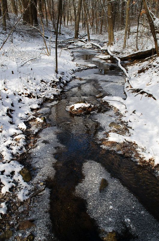 a stream running through a snow covered forest