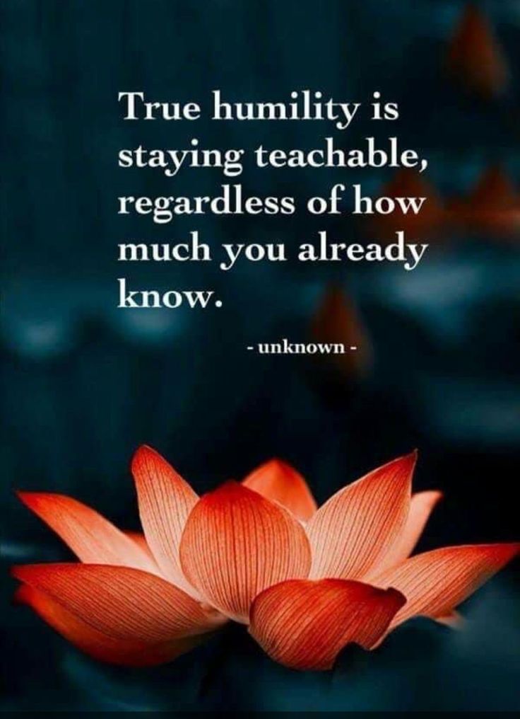 a lotus flower with the quote true humility is staying teachable, regardless if how much you already know