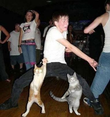 a group of people dancing with cats on the dance floor