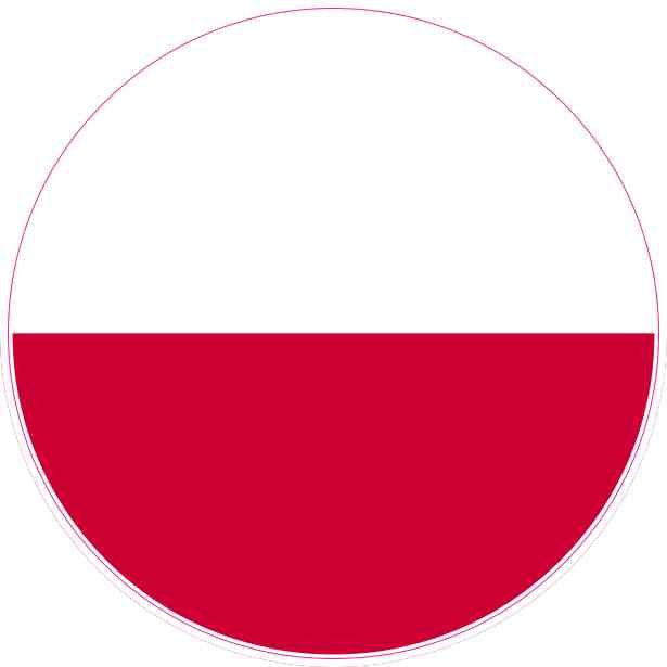 a red and white circle with the colors of the flag in it's center