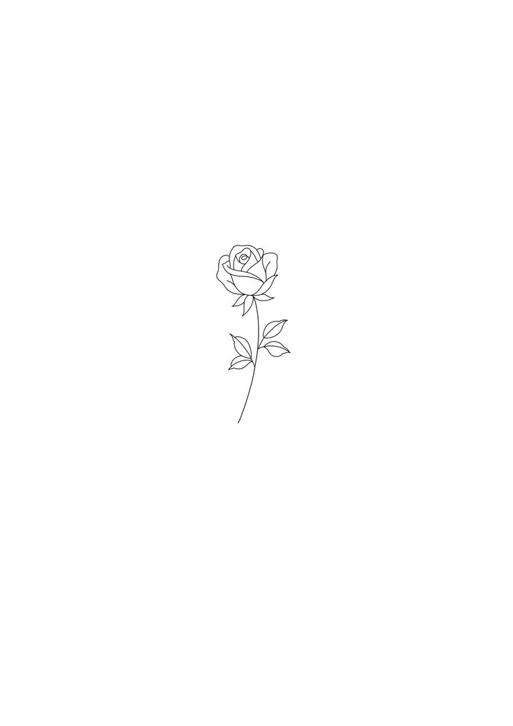 a single rose is shown in the middle of a white background with black lines on it