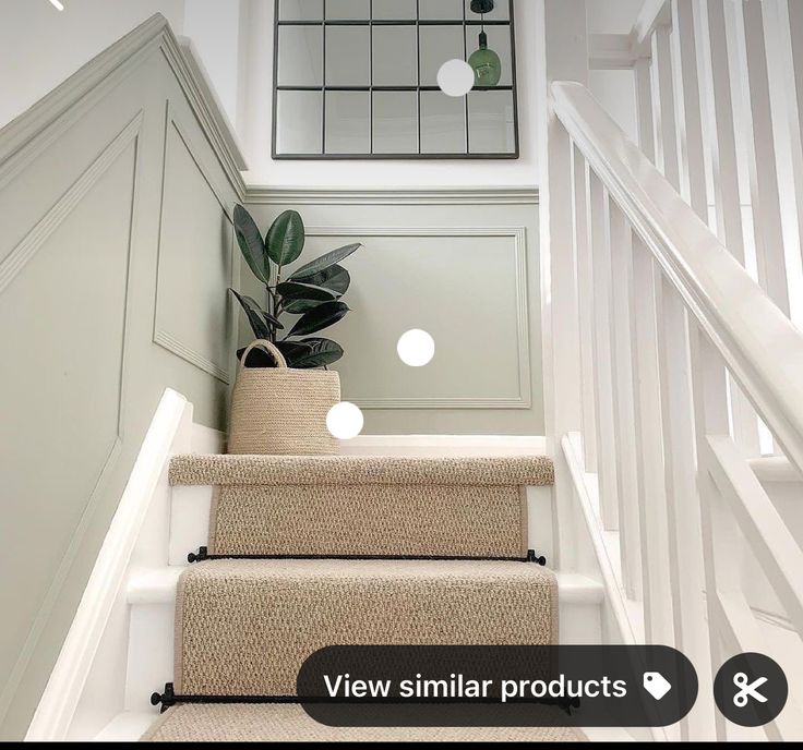 the stairs in this house are white and have plants on each step, along with an area rug