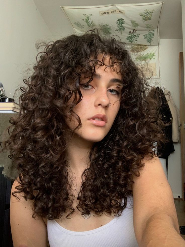 Medium Layered Haircuts Curly Hair, Curly Hair Shapes Natural Curls, Curly Shag 3b, Haircut Inspo For Curly Hair, Curly Cut Medium Length, Hush Cut On Curly Hair, Heart Shaped Curly Haircut, Curly Haircuts For Heart Shaped Faces, Layers For Medium Length Hair Curly