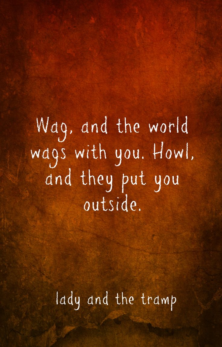 a quote from lady and the tramp that reads,'way, and the world was with you, how, and they put you outside