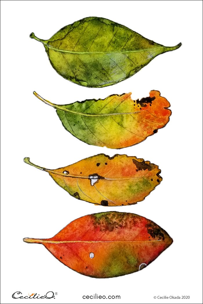 three leaves with different colors on them