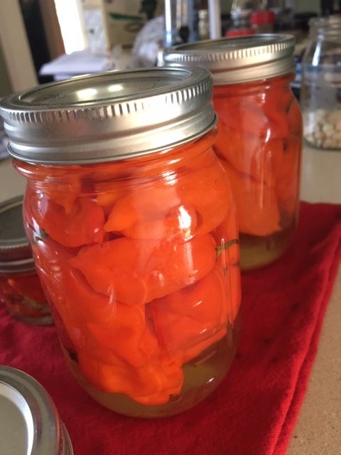 two jars filled with pickles sitting on top of a red towel in front of a stove