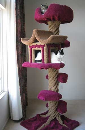 a cat sitting on top of a scratching tower