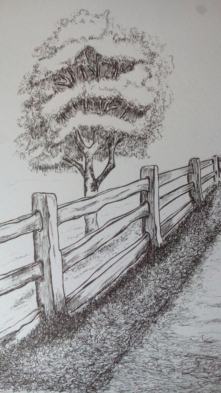 a pencil drawing of a wooden fence with trees on the other side and a tree in the background