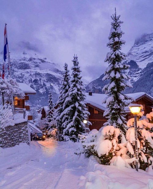 snow covered trees and buildings in the mountains