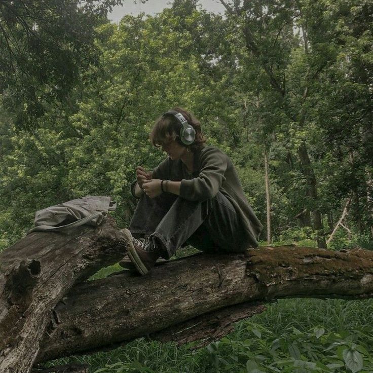 a man sitting on top of a tree branch in the forest using a cell phone