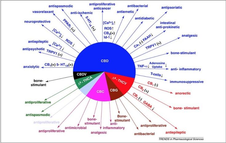 33 Amazing and Proven Benefits of CBD Oil | Wake Up World Cbd Oil Benefits, Endocannabinoid System, Cbd Hemp, Hemp Oil, Cbd Oil, Migraine, Chronic Pain, Pain Relief, Medicine