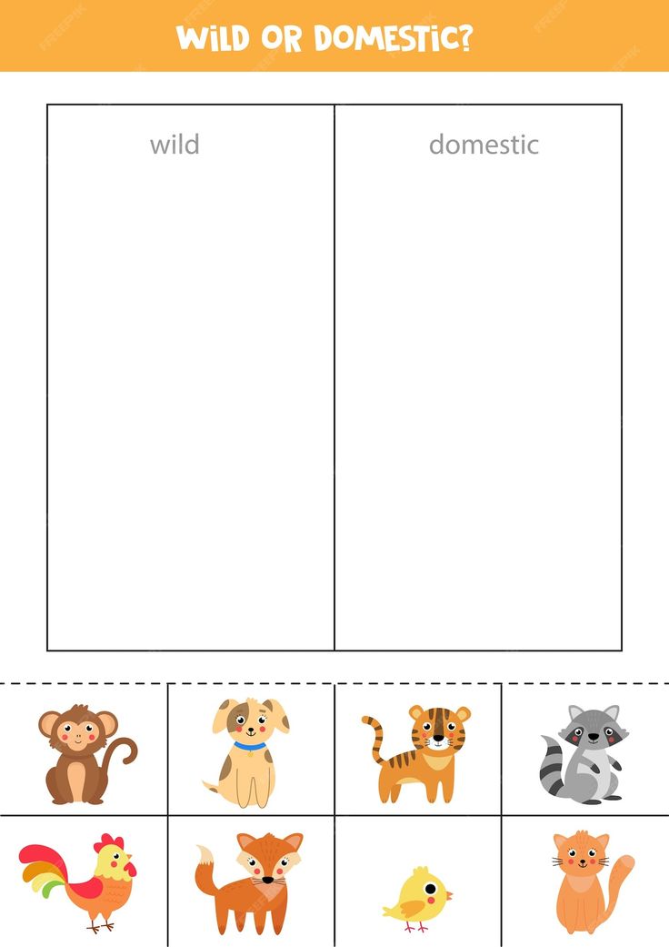 the wild or domestic? worksheet for kids to practice their language and writing skills