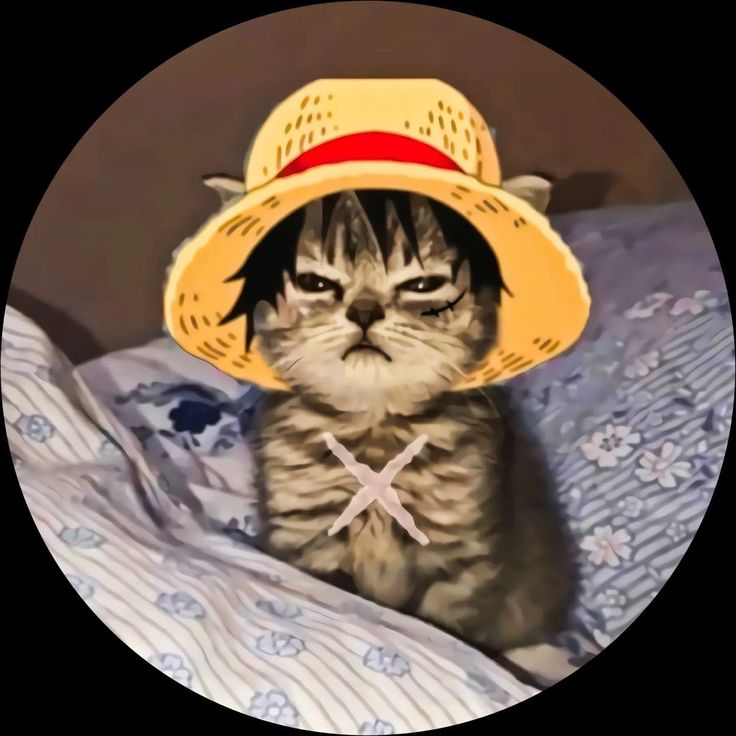 a cat wearing a yellow hat on top of a bed