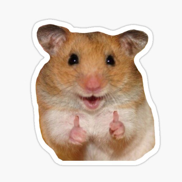 a hamster giving the thumbs up sign sticker