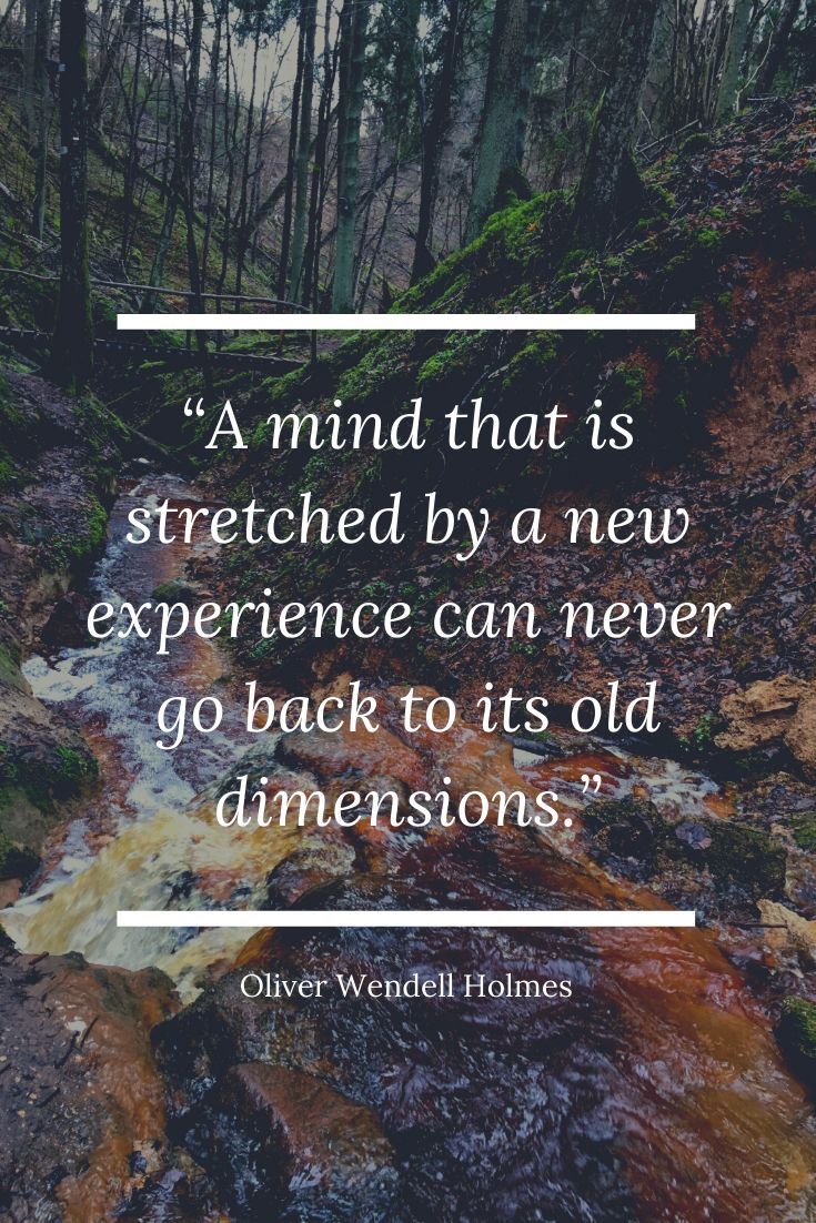 a stream in the middle of a forest with a quote on it that says, a mind that is stretched by a new experience can never go back to its old dimensionss