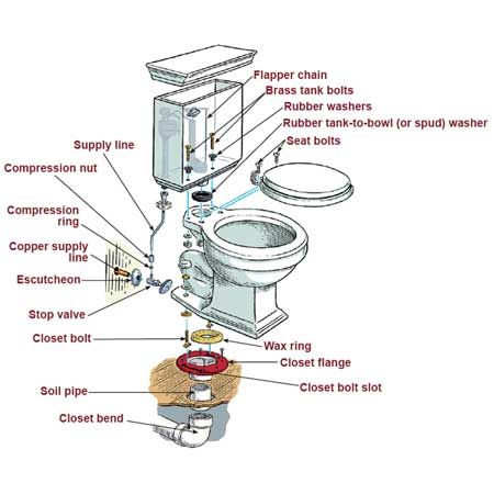 the parts of a toilet are labeled in this diagram