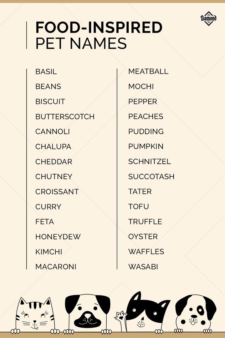 the food - inspired pet names list is shown in black and white, with three different dogs