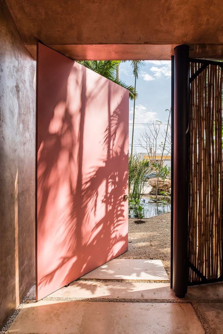 an open door leading into a tropical setting