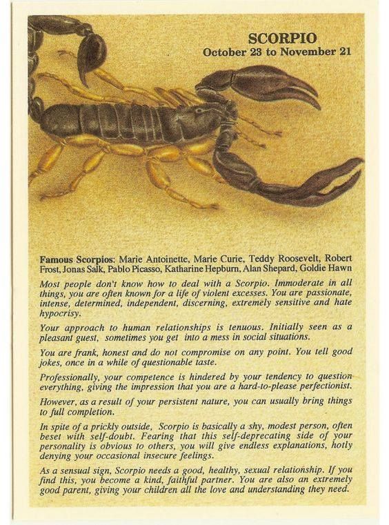 an image of a scorpion on the back of a card with words describing it's origin