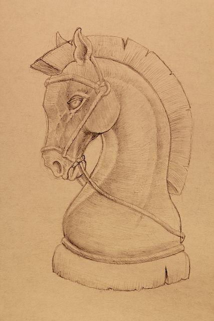 a pencil drawing of a horse's head with a bridle on it