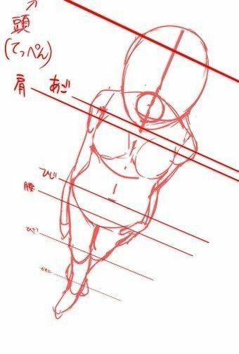 the drawing shows how to draw a woman's body