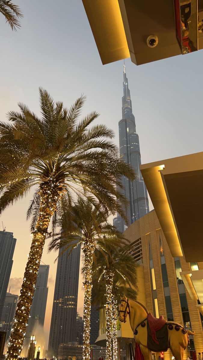 palm trees and lights in front of the burj building at dusk, dubai