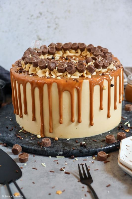 a cake with chocolate chips and caramel drizzle on top