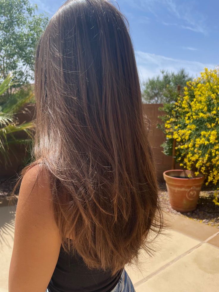 Layers In Brown Hair, Haircut Inspo Long Straight, Layered Hair On Straight Hair, Long Layers On Brown Hair, Haircut Inspo Brunette, Long Brown Hair With Long Layers, Simple Layers For Long Hair, Long Brunette Layers, Long Layers On Thick Hair