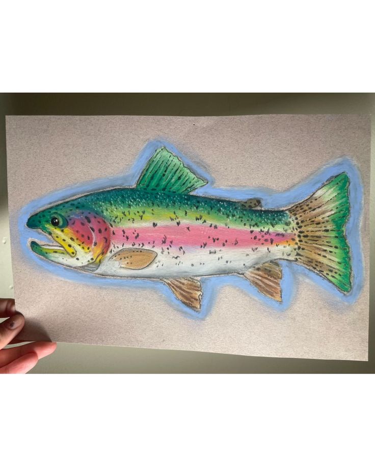 a drawing of a rainbow colored fish on a piece of paper in someone's hand