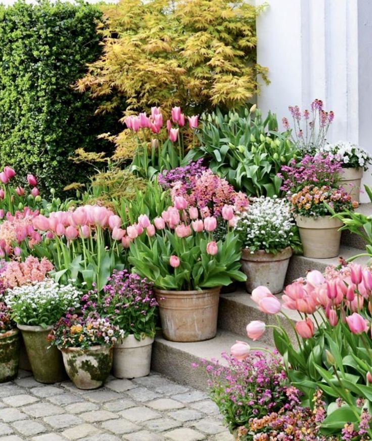 a bunch of flowers that are in some pots