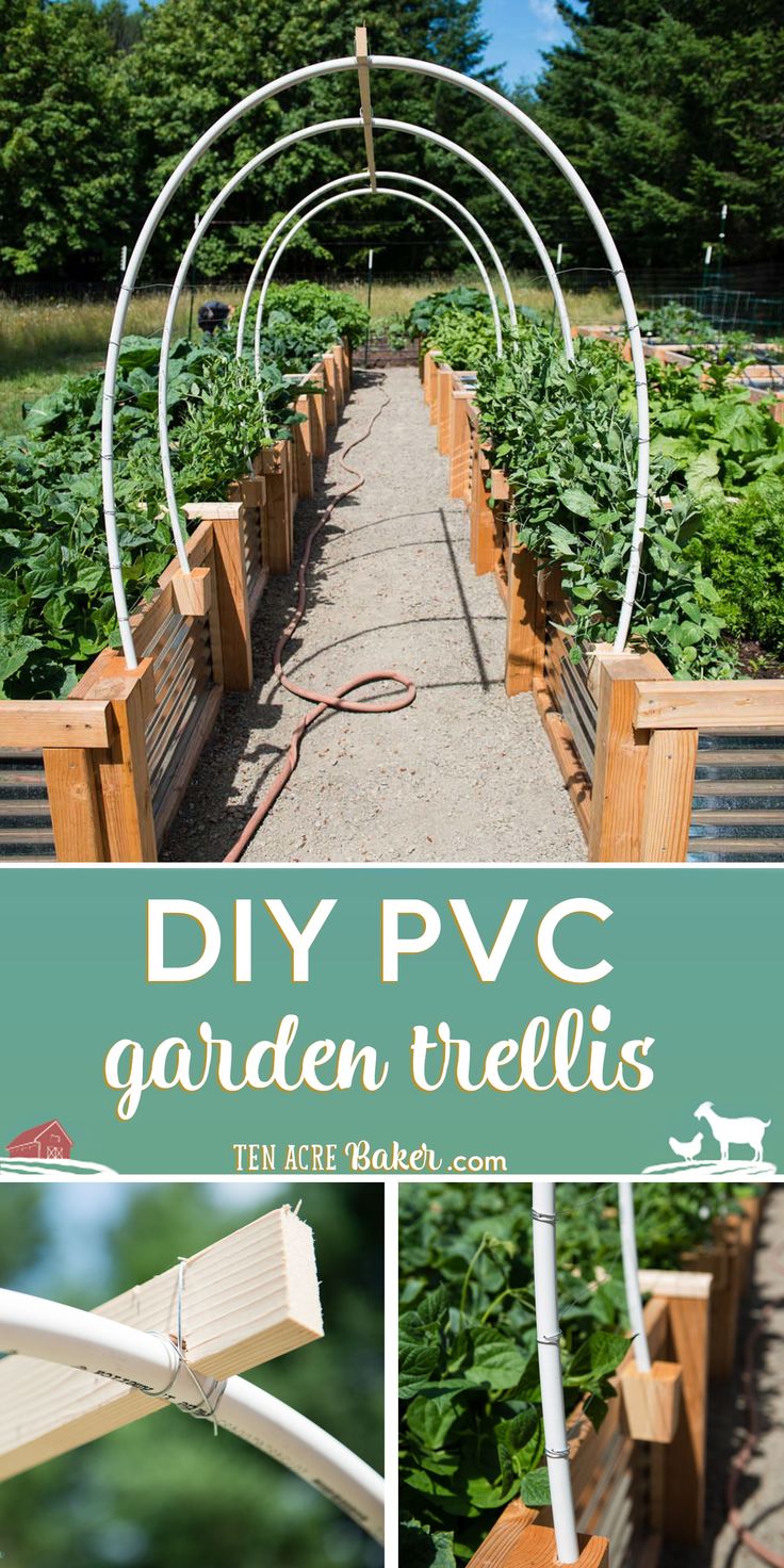 garden trelliss with text overlay that reads diy pvc garden trelliss