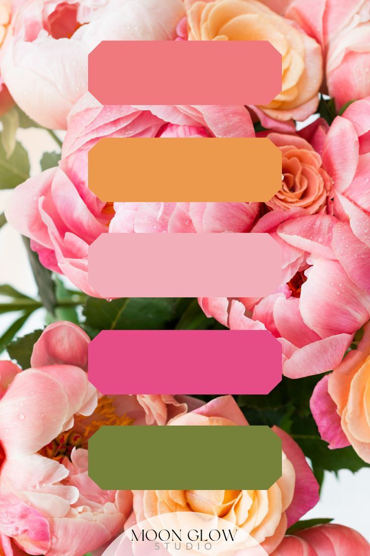 Pink Orange Pastel Bright Peonies Flowers Color Inspiration Palette Spring Bright Color Palette, Pink Orange Wedding Colors, Bright Wedding Colour Schemes, Hot Pink And Orange Wedding Theme, Bridal Shower Colors Palette, Sage Orange Fuchsia Wedding, Spring Pink Color Palette, Pink And Green Wedding Color Palette, Sage Pink Orange Wedding